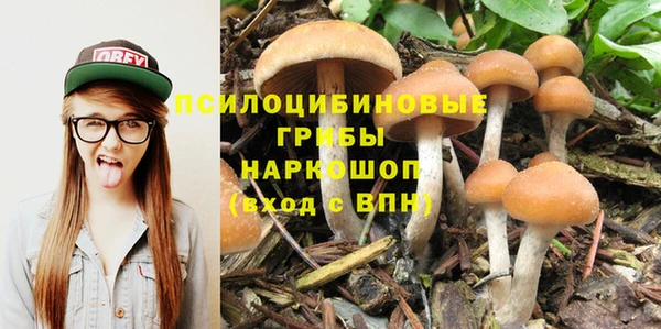 прущие крисы Алексеевка