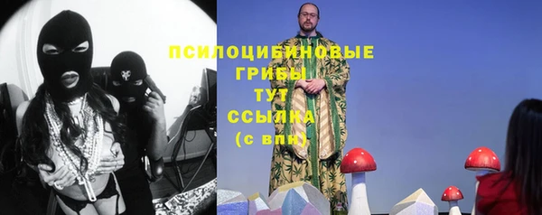 прущие крисы Алексеевка
