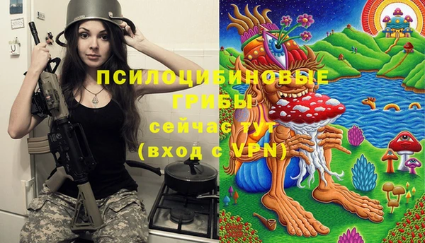 прущие крисы Алексеевка
