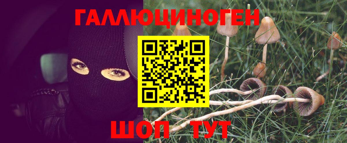 Феодосия  Псилоцибиновые грибы мухоморы  Галлюциногенные грибы Cubensis  Вход с VPN 